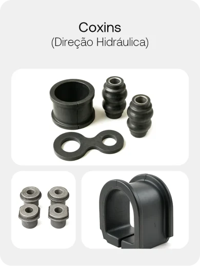 Coxins (Direção Hidráulica)