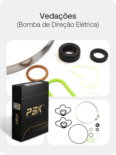 Vedações (Bomba de Direção Elétrica)